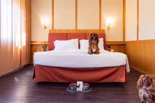 Best Western Hotel President image 5