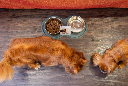 Best Western Hotel President image 8